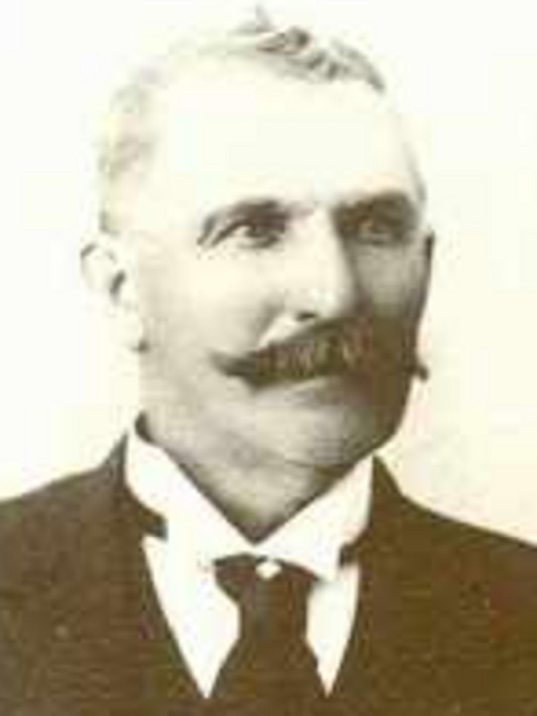 William Didymus Johnson (1833 - 1910) Profile